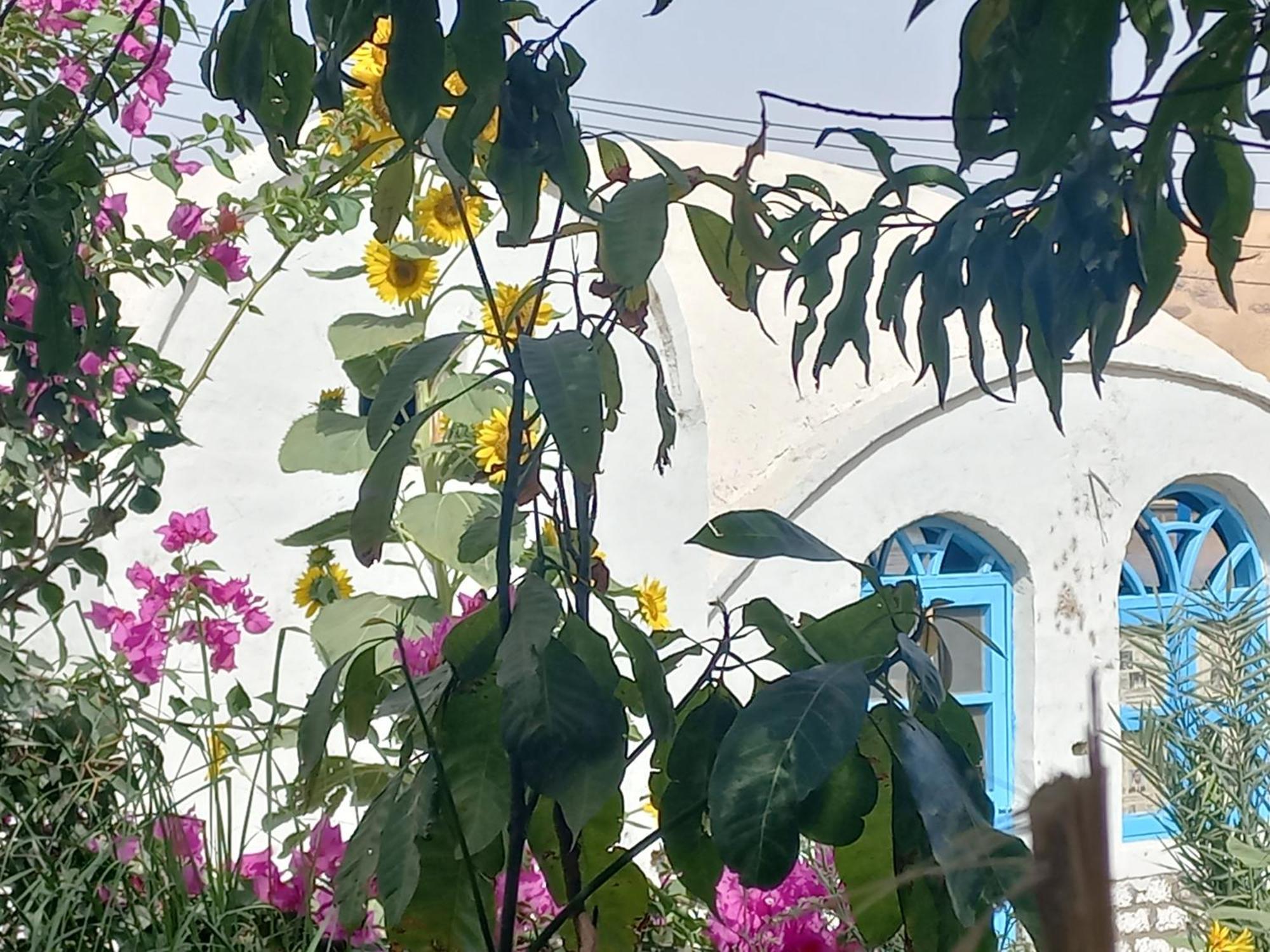 Nubian Lotus Bed & Breakfast Асуан Екстериор снимка
