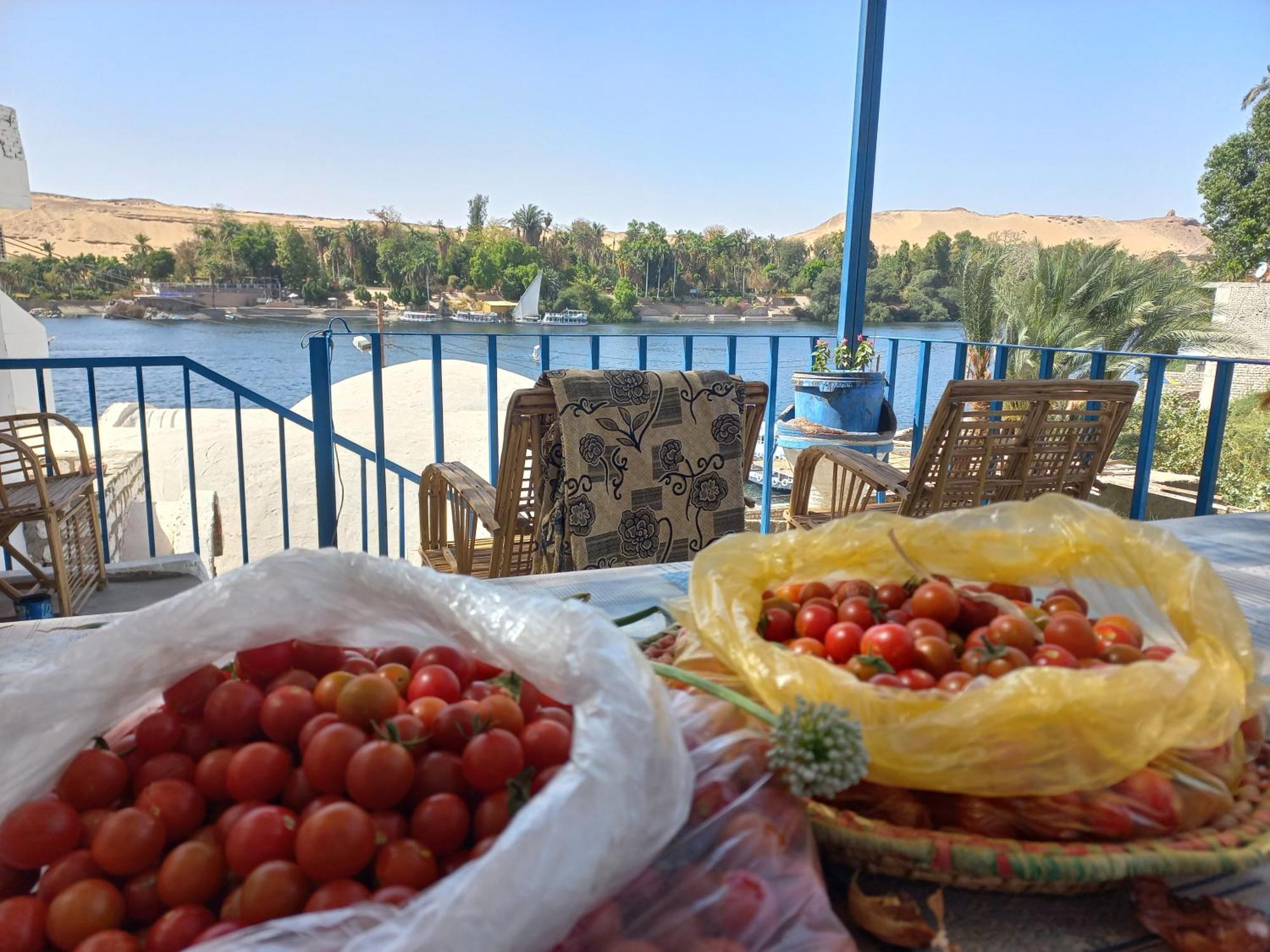 Nubian Lotus Bed & Breakfast Асуан Екстериор снимка
